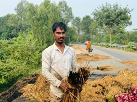 মান্দায় আগুনে পুড়ল ৩ বিঘা জমির ধান, দিশেহারা কৃষক